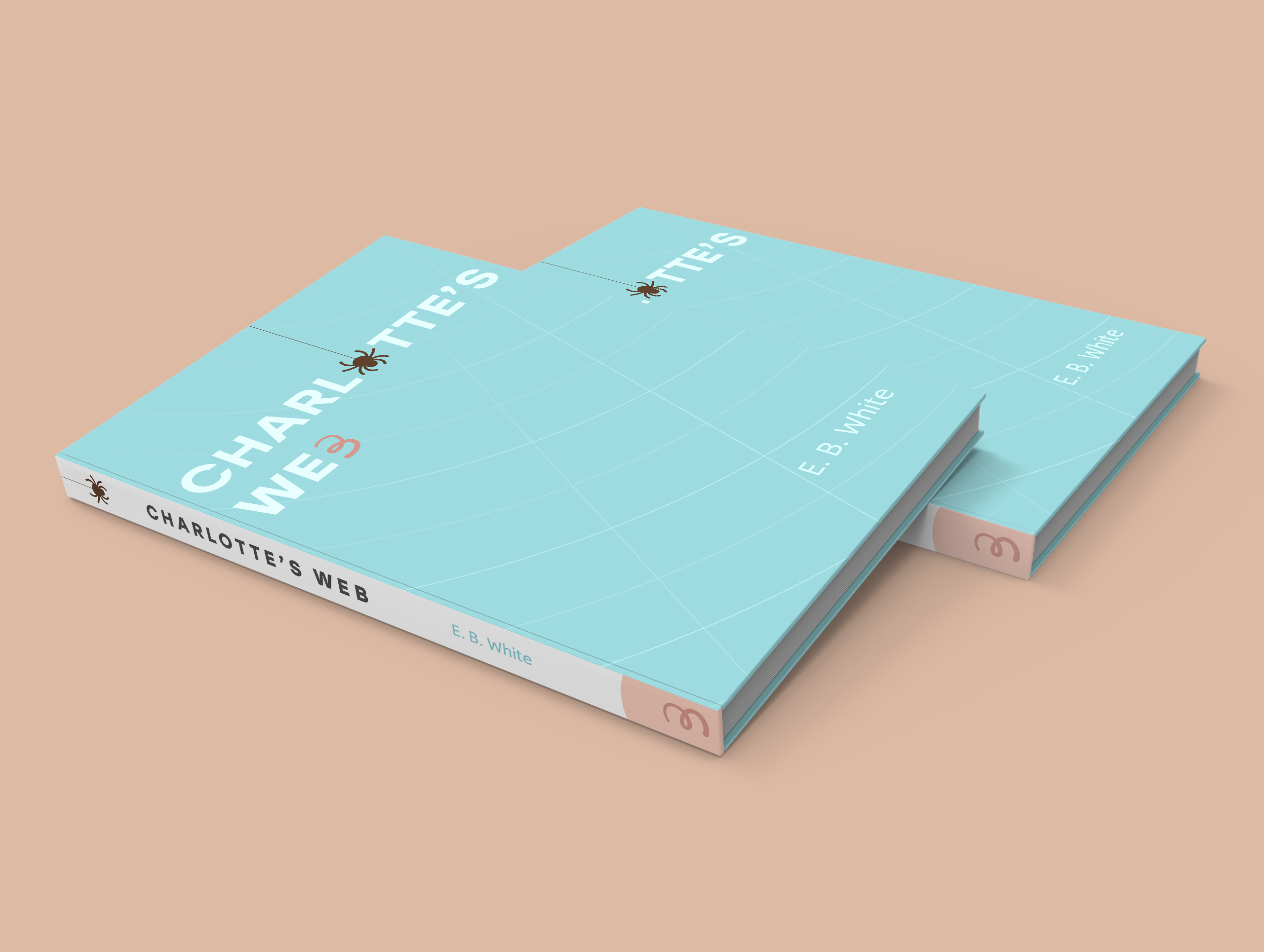 Two Books Mockup